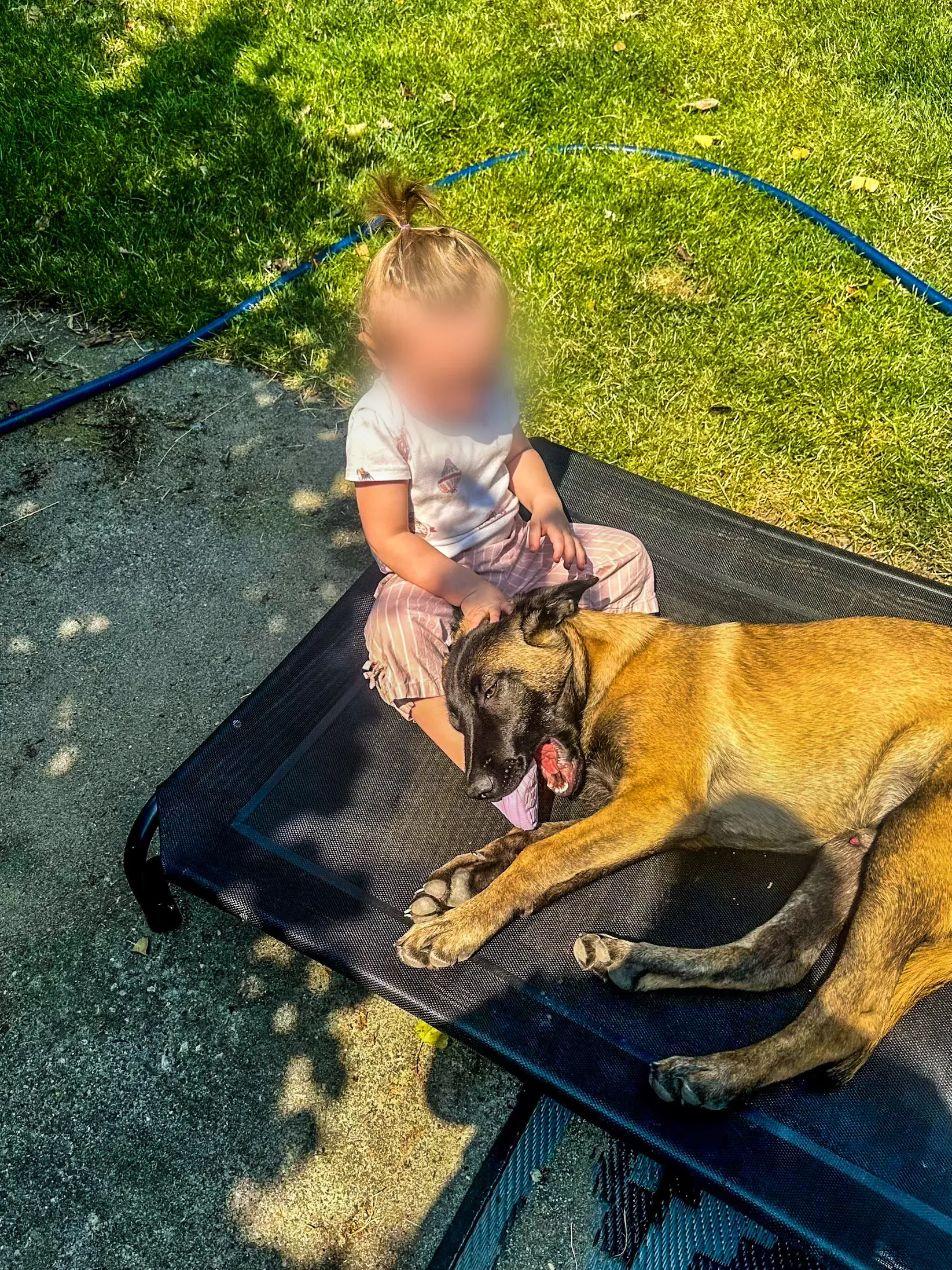 Gunner and Sofia
