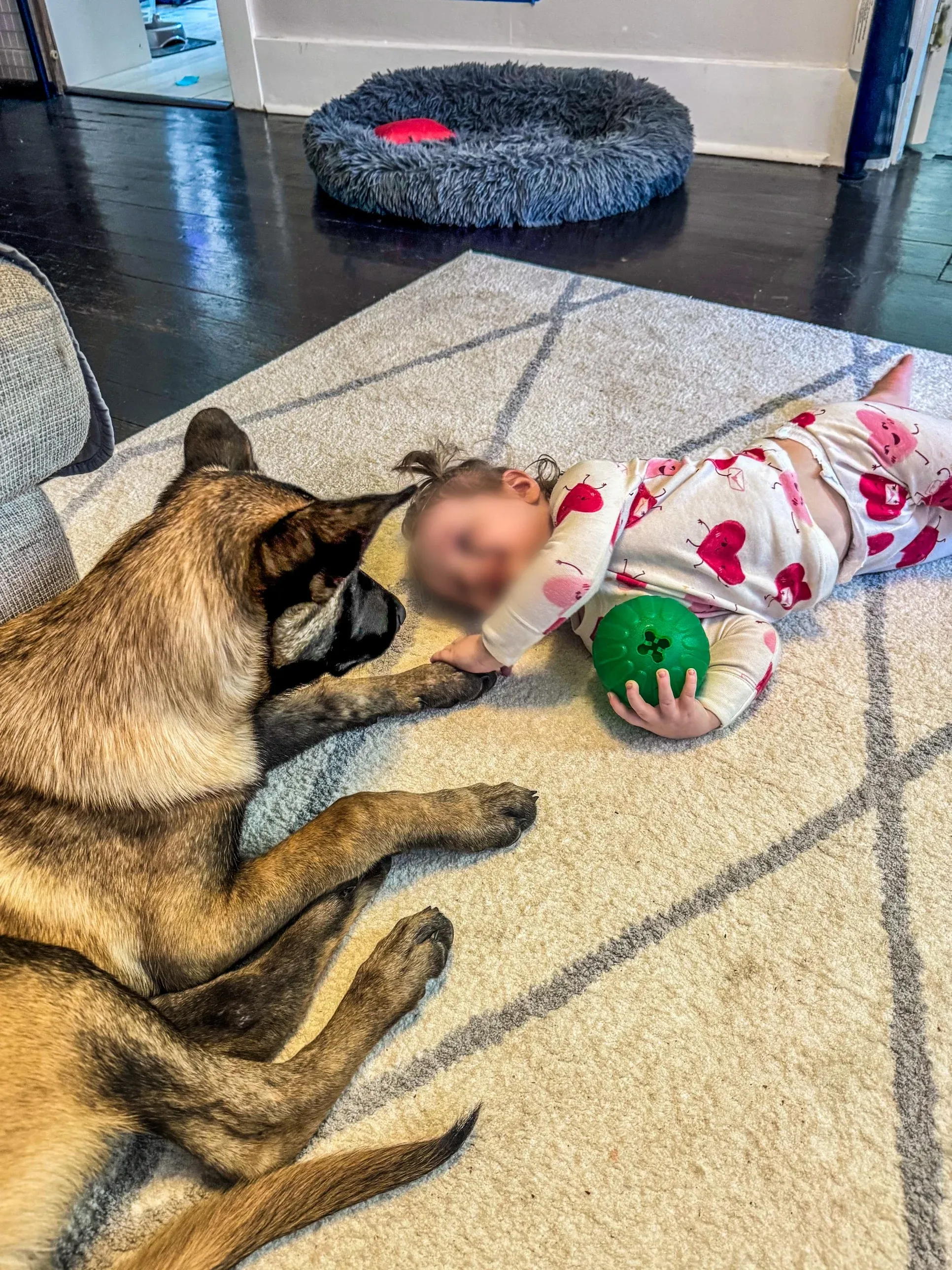 Paw to hand, with Sofia