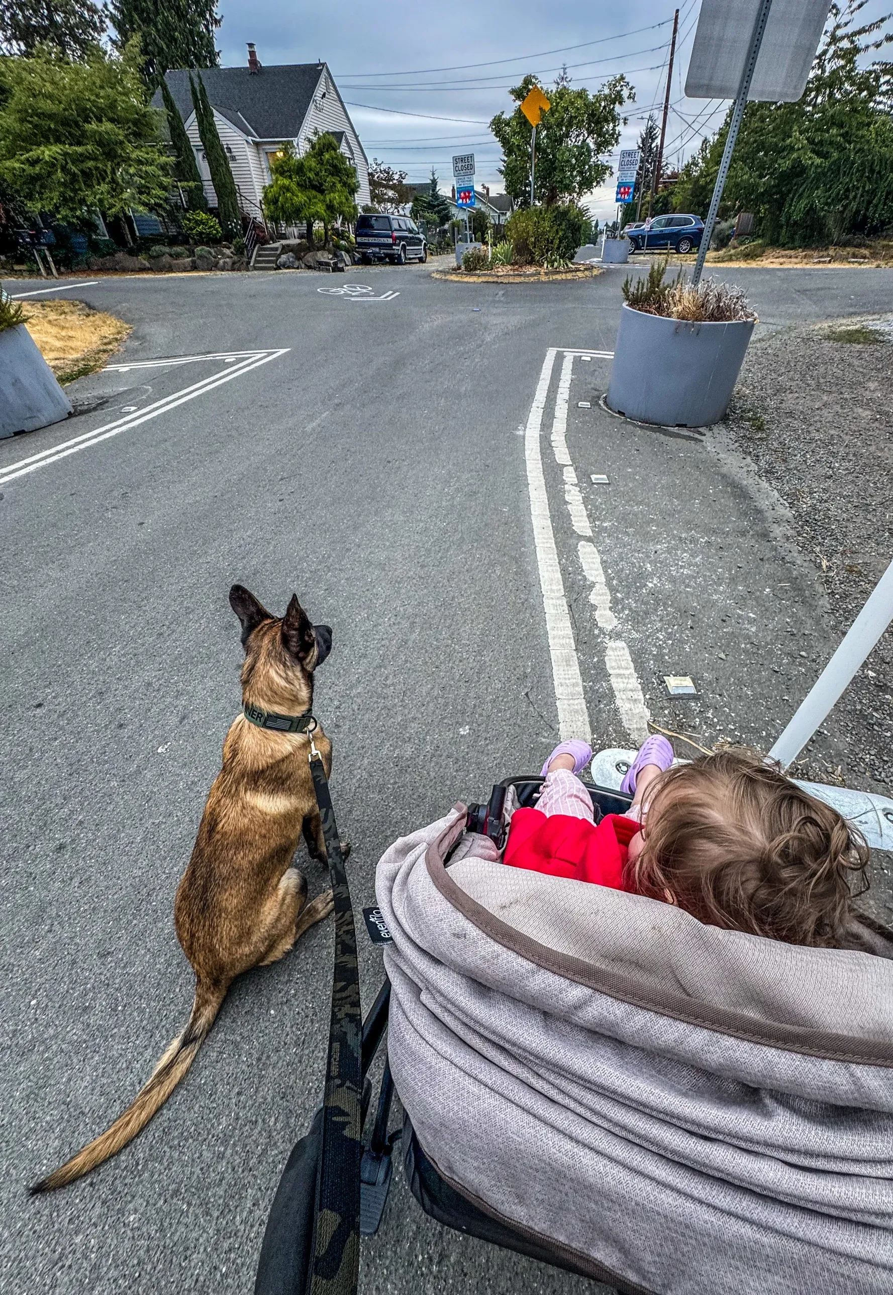 Gunner sitting calmly at a street corner beside a stroller